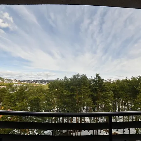 Apartment Mount Nesic Zlatibor