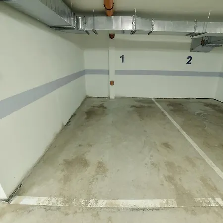 Apartman Mount Nesic *