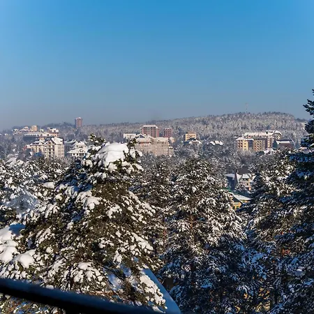 Mount Nesic Apartment