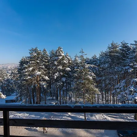 Mount Nesic Apartman Zlatibor