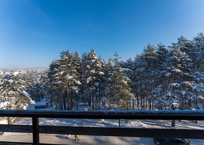 Mount Nesic 아파트 즐라티보